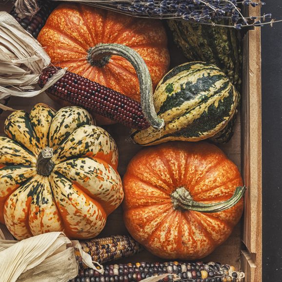 Autumn decorations, pumpkin and indian corn